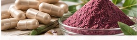 Botanical extracts and nutraceutical ingredients